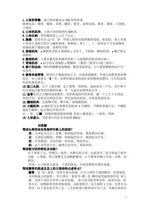 艺用人体解刨学