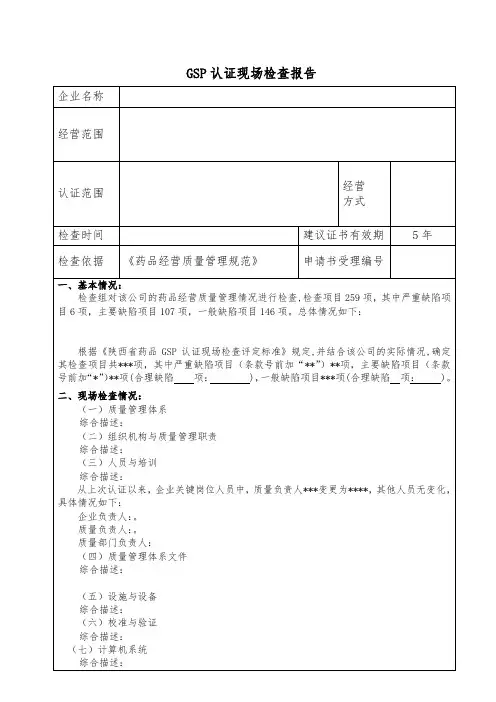 现场检查报告