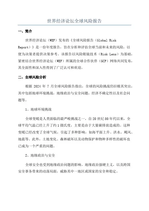世界经济论坛全球风险报告