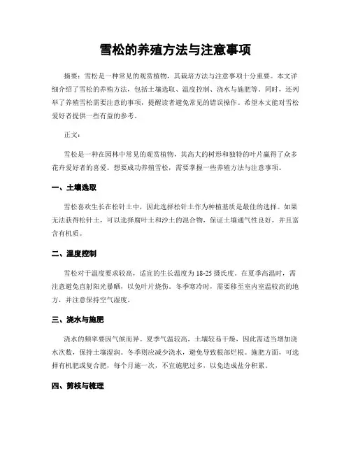 雪松的养殖方法与注意事项
