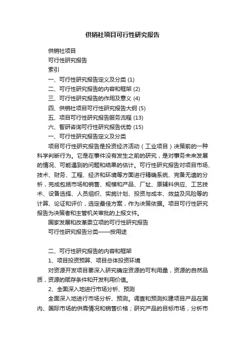 供销社项目可行性研究报告