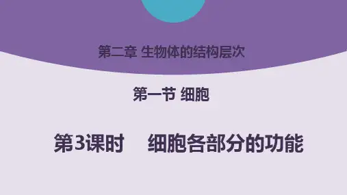 细胞各部分的功能ppt课件