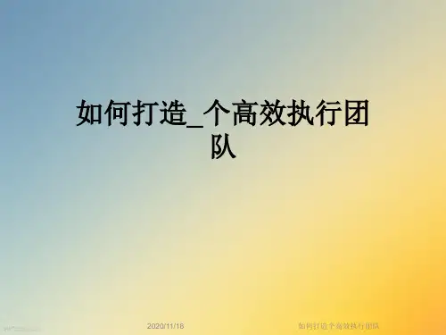 如何打造个高效执行团队