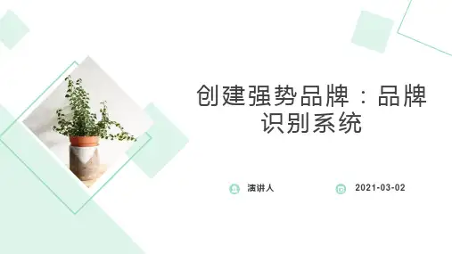 创建强势品牌：品牌识别系统