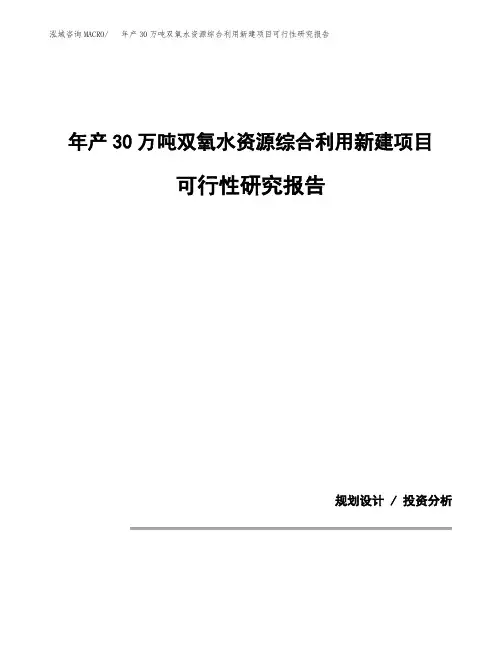 年产30万吨双氧水资源综合利用新建项目可行性研究报告