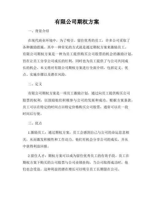 有限公司期权方案