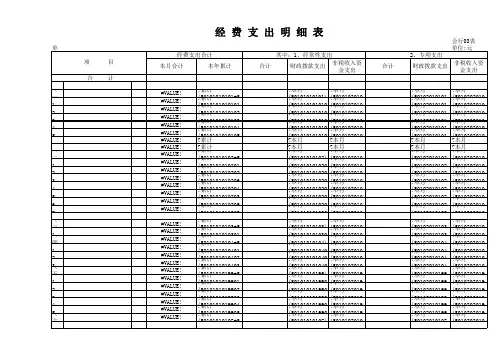 行政经费支出明细表