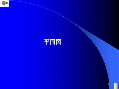 图论及其应用的平面图