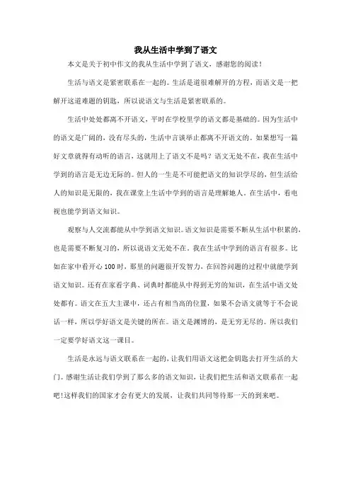 我从生活中学到了语文_初中作文