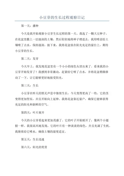 小豆芽的生长过程观察日记