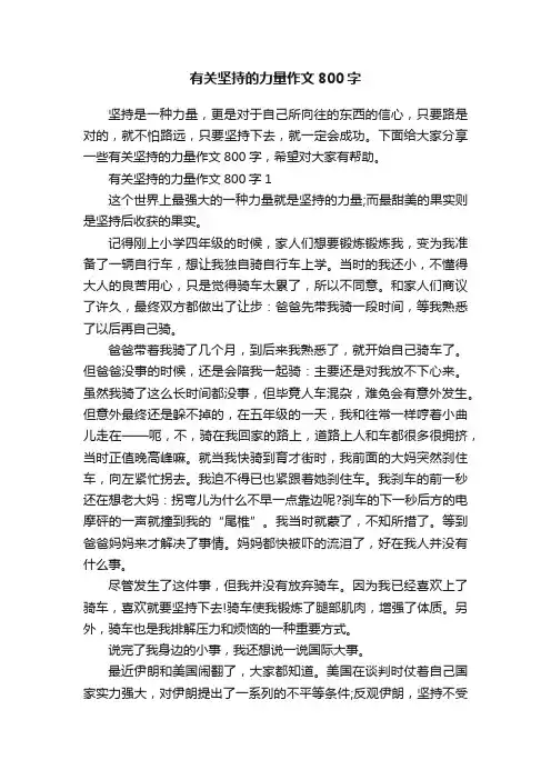 有关坚持的力量作文800字