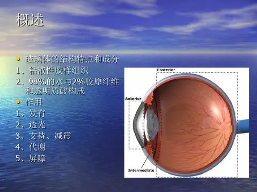 玻璃体疾病PPT课件