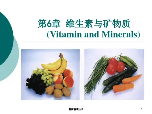 维生素和矿物质ppt课件