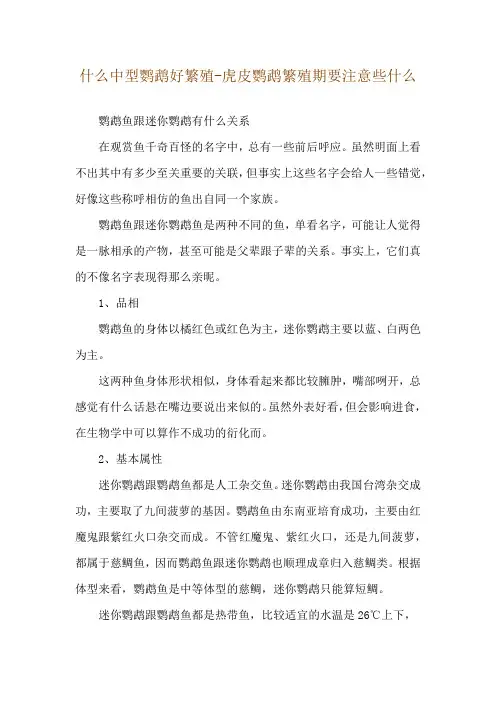 什么中型鹦鹉好繁殖-虎皮鹦鹉繁殖期要注意些什么