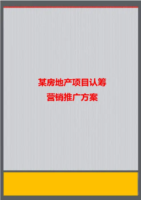 惠州某项目认筹营销推广方案