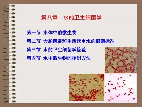 8 水的卫生细菌学检查