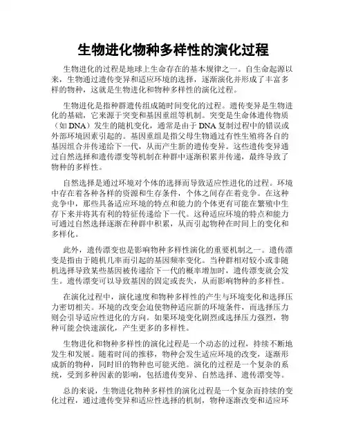 生物进化物种多样性的演化过程