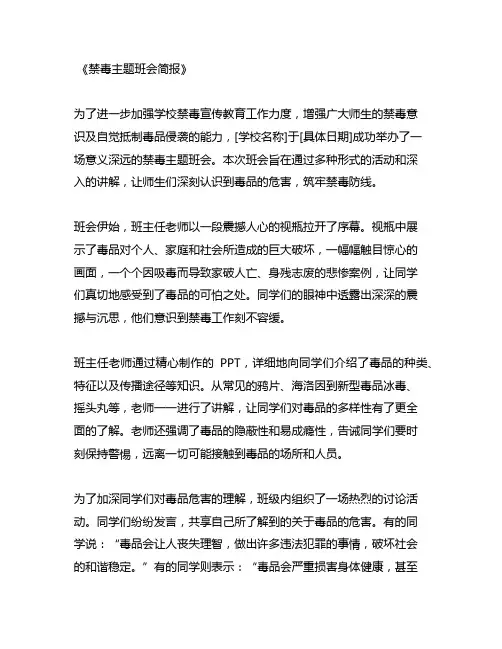 禁毒主题班会简报