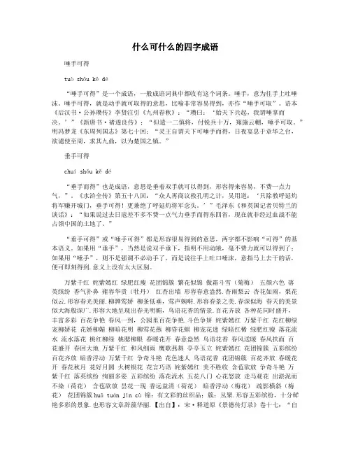 什么可什么的四字成语