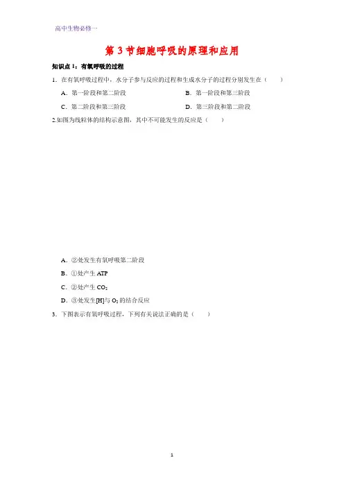 高中生物必修1课时作业5：5.3 细胞呼吸的原理和应用