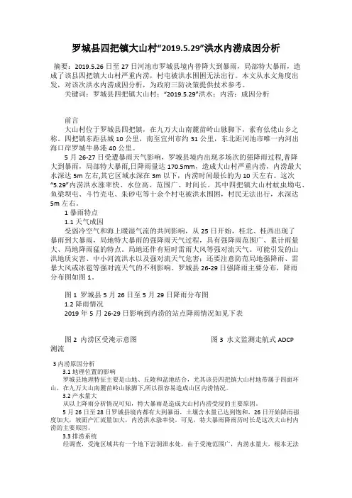 罗城县四把镇大山村“2019.5.29”洪水内涝成因分析