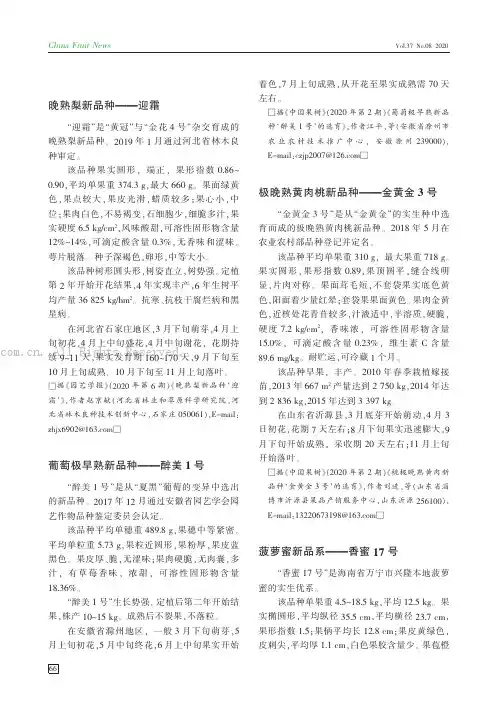 菠萝蜜新品系——香蜜17号