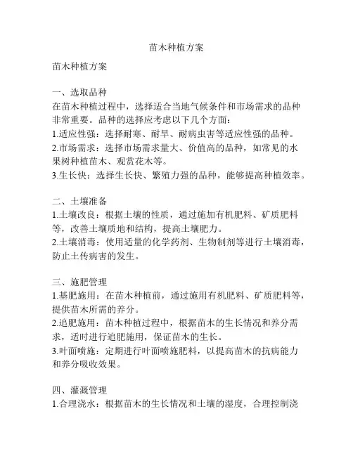 苗木种植方案