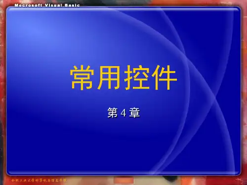 VB常用控件