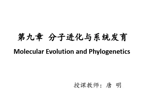第九章 分子进化与系统发育