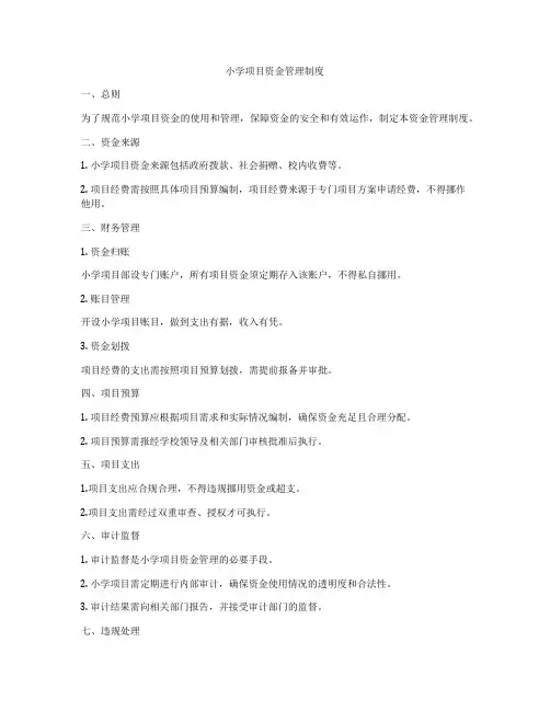 小学项目资金管理制度