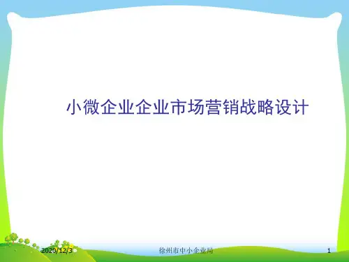 小微企业企业市场营销战略设计.pptx