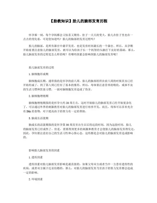 【胎教知识】胎儿的脑部发育历程
