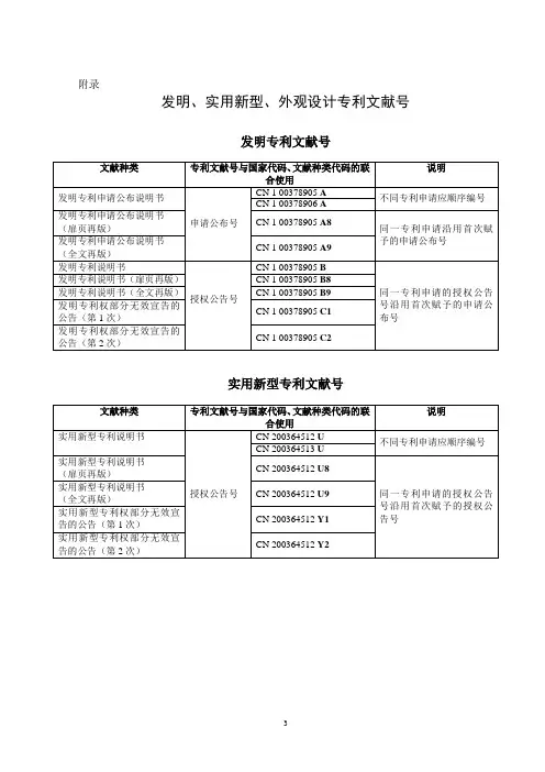 专利文献号标准