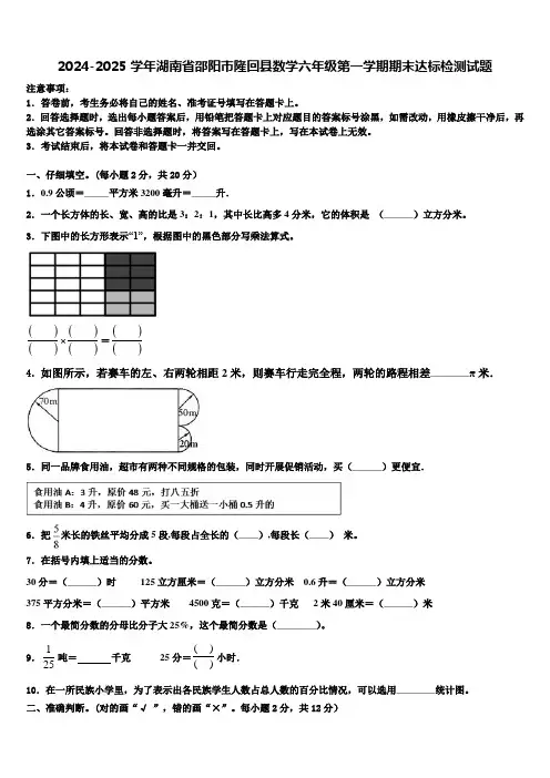 2024-2025学年湖南省邵阳市隆回县数学六年级第一学期期末达标检测试题含解析