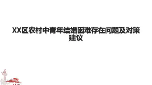 XX区农村中青年结婚困难存在问题及对策建议.pptx