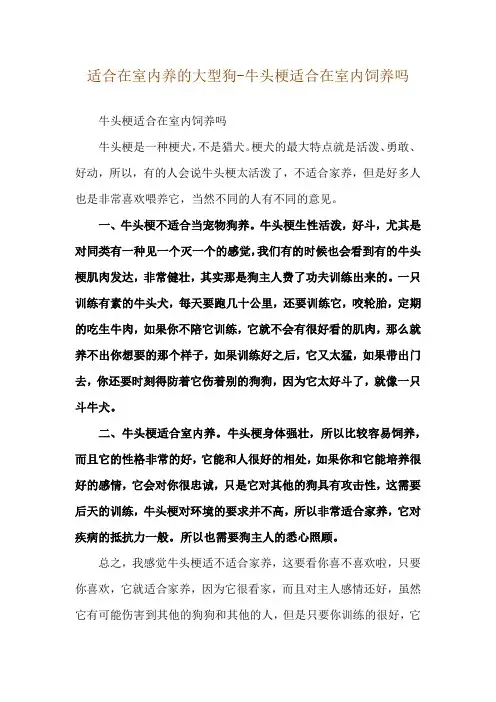 适合在室内养的大型狗-牛头梗适合在室内饲养吗