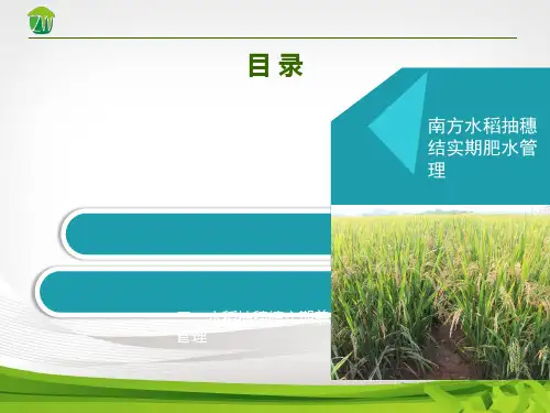 南方水稻抽穗结实期管理—南方水稻抽穗结实期肥水管理