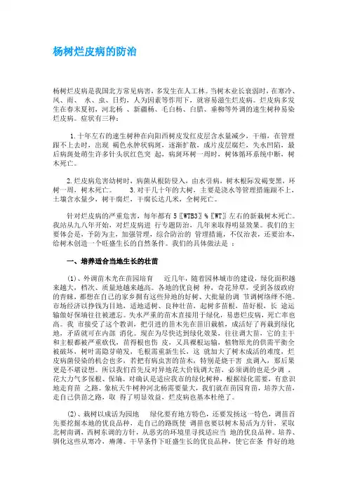 杨树烂皮病的预防和治疗