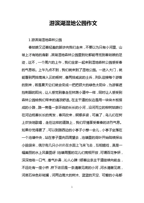 游滨湖湿地公园作文