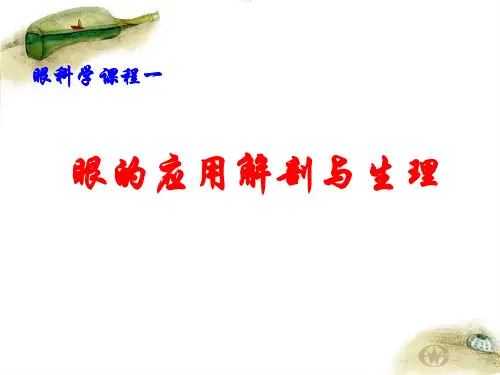 眼的解剖与生理