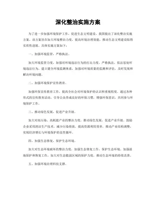 深化整治实施方案