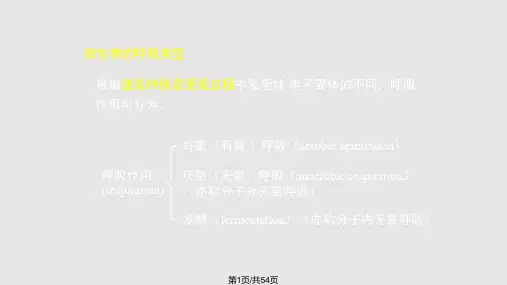 水处理生物学微生物代谢PPT课件