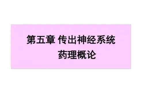 传出神经系统概论