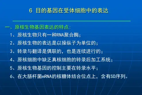 8基因表达,大肠杆菌基因工程