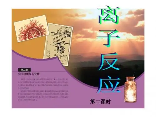 人教版高中化学必修1第二章化学物质及其变化第二节离子反应第二课时
