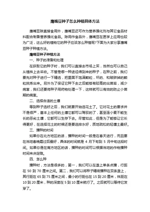 鹰嘴豆种子怎么种植具体方法