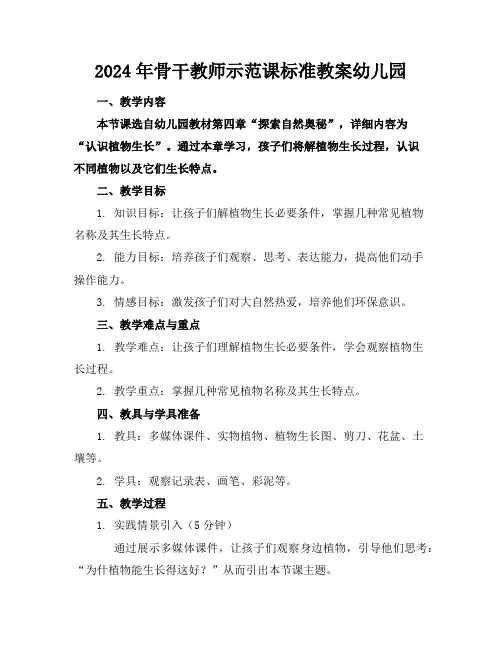 2024年骨干教师示范课标准教案幼儿园