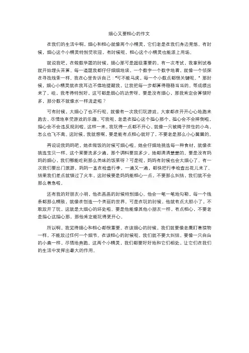 细心又要粗心的作文