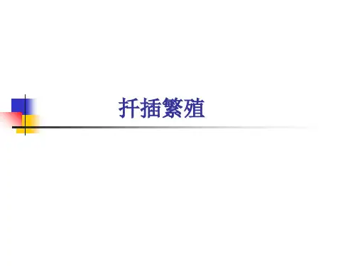 扦插、嫁接、盆栽PPT精品文档17页