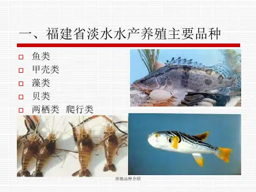 养殖品种介绍课件